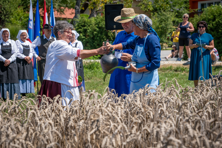 Dobrovnik - 2000 semen - ZETEV 2025-1174789